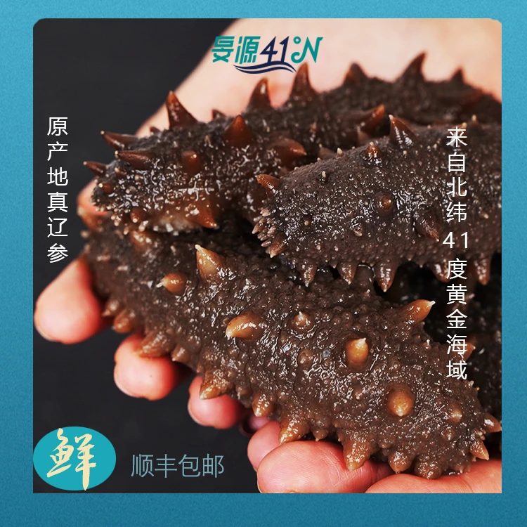 旻源高温蒸煮辽参30根(单根5-8cm左右)