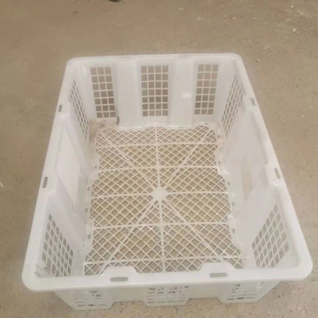 鸽子用品运输筐子