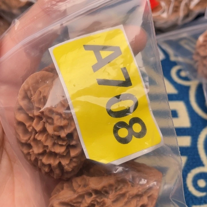 少***十把件文玩核桃核桃