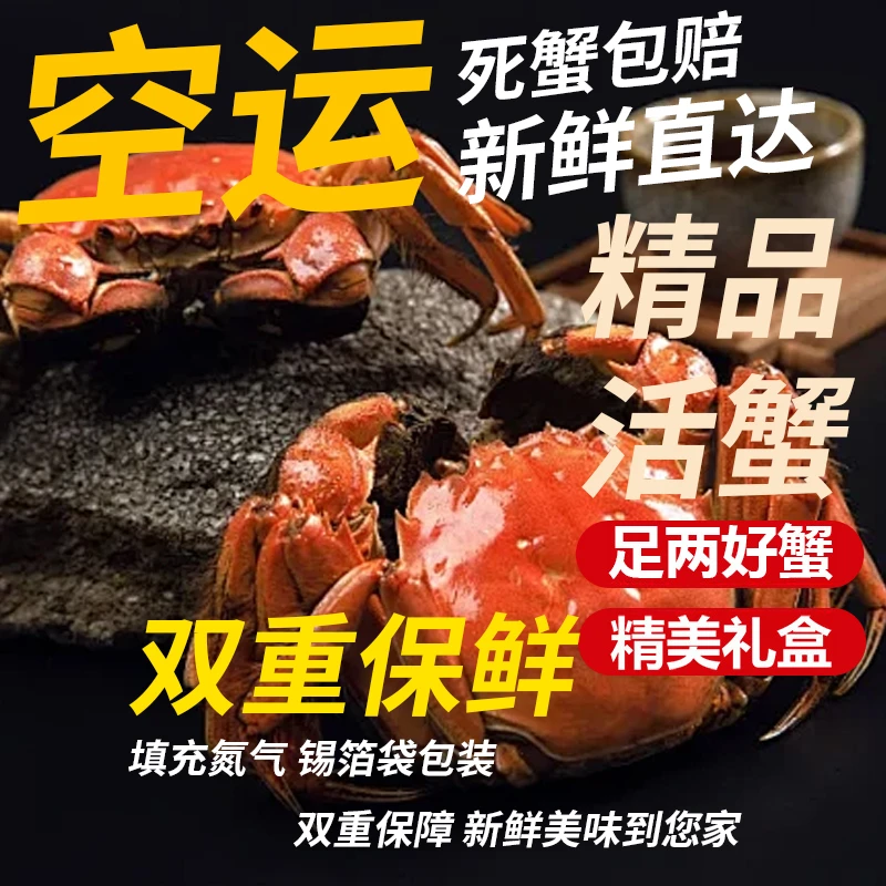 【活蟹】【蟹小妹】大闸蟹公母搭配8只四两母五两公顺丰空运