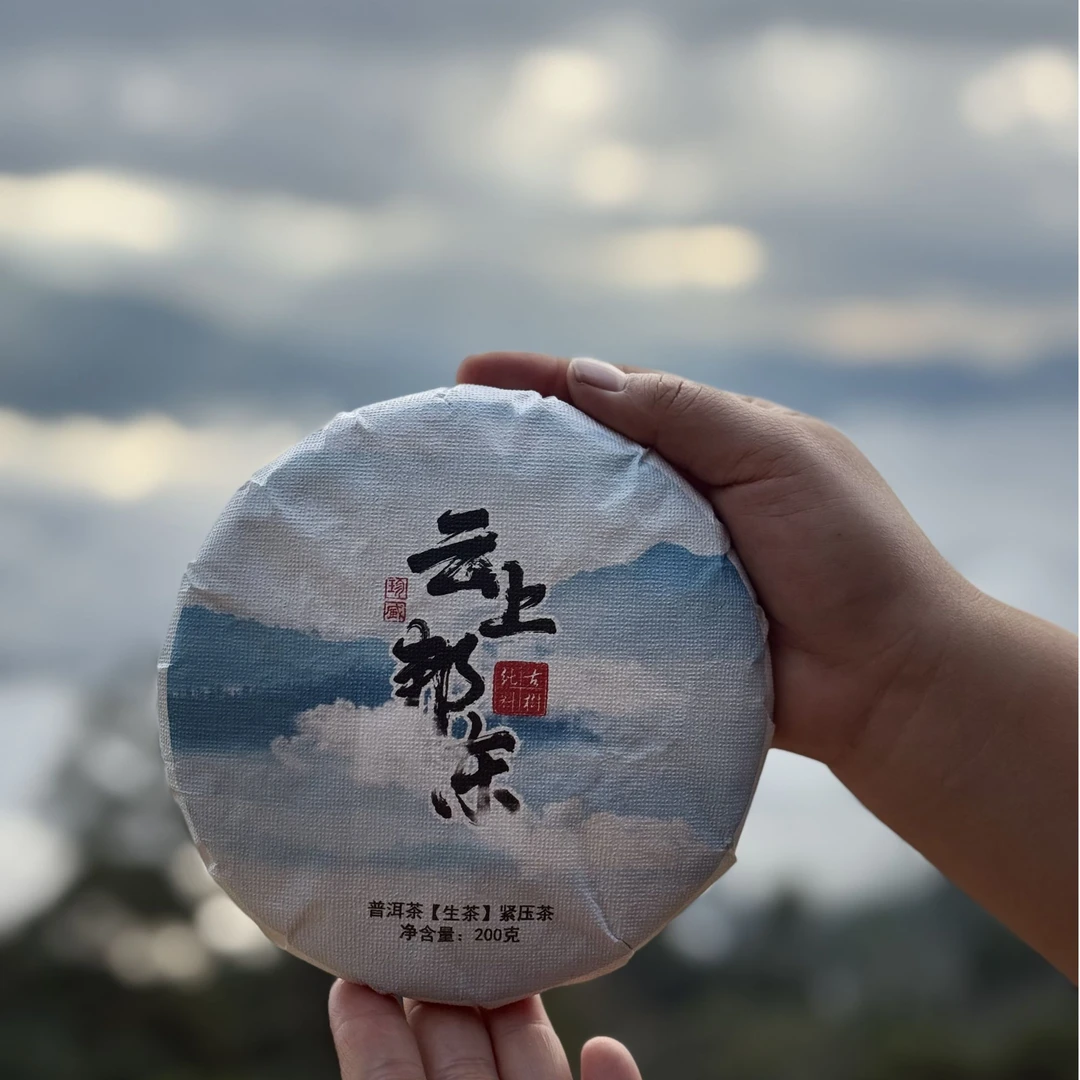云上邦东-2023年-200克-春茶-普洱生茶