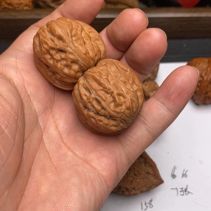 O***y元宝有黄不退不换