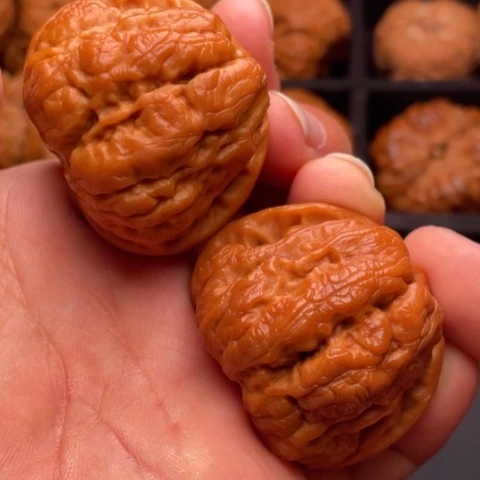 文玩核桃把件秦岭山脉核桃