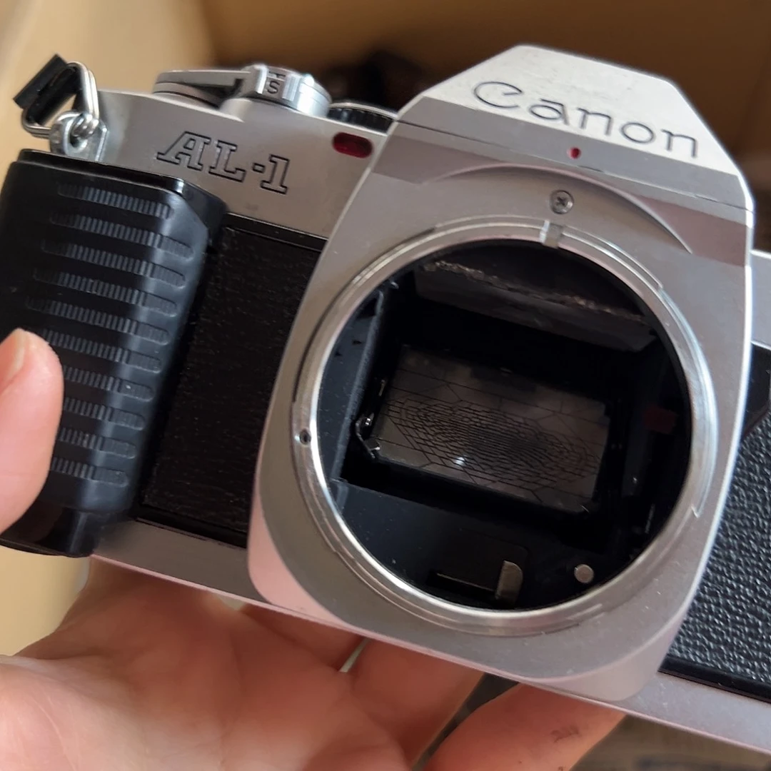 瓷片小*龙11。。。。。。。。。。。。