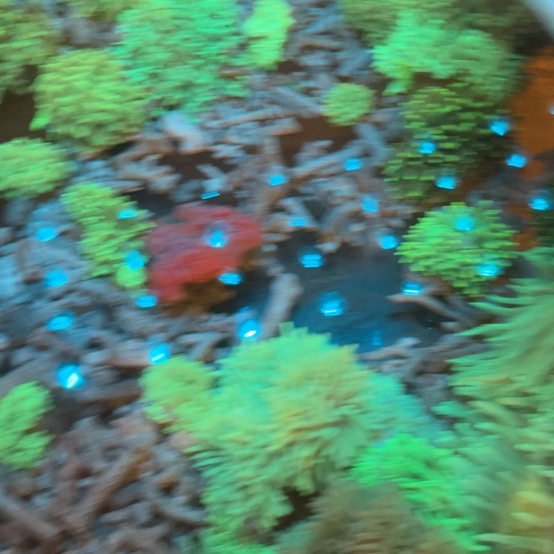 浑****奶嘴海葵星空2222222