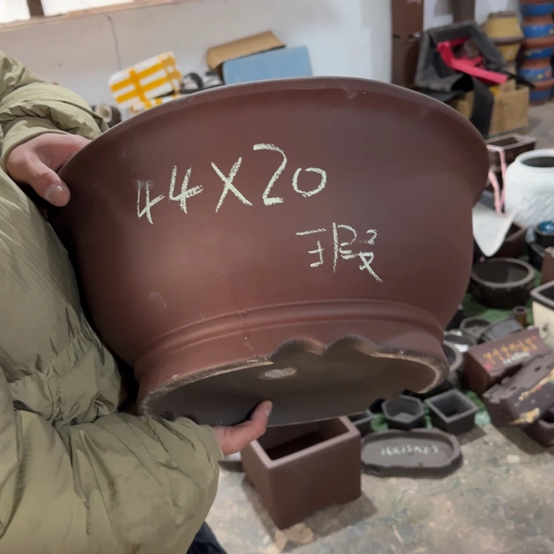 紫砂花盆呜呜呜呜