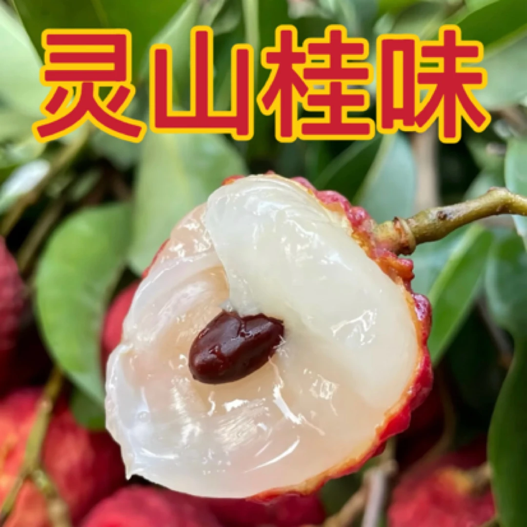 现货【申通冷链】现摘桂味荔枝正宗广西灵山老树整箱水果批发