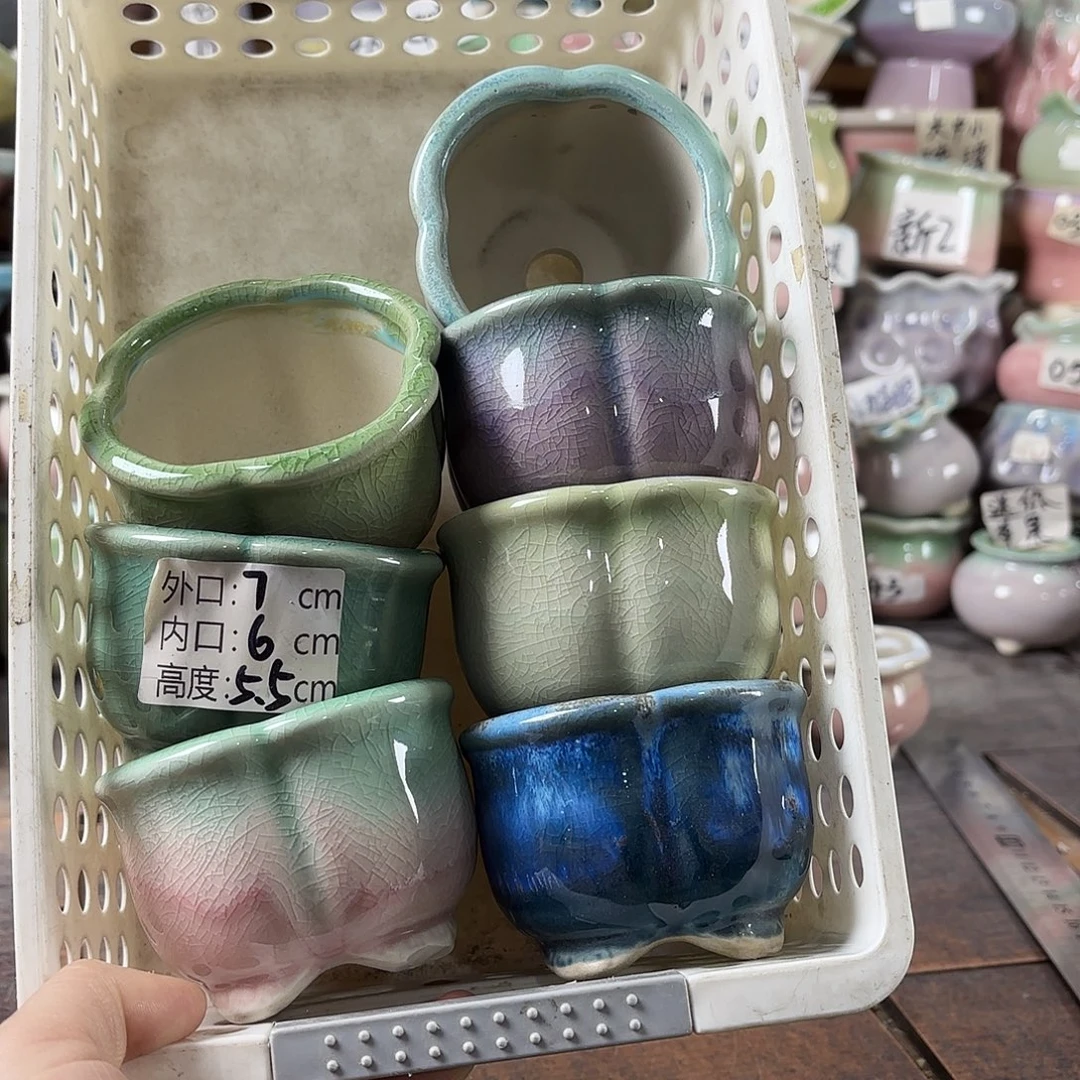 量货/口6高5.5深浅搭配发6