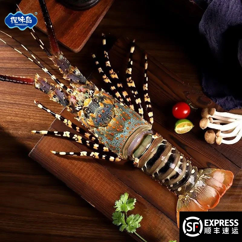 点砚【顺丰包邮】福建新鲜大花龙鲜活大青龙澳洲大龙虾冷冻海鲜水产