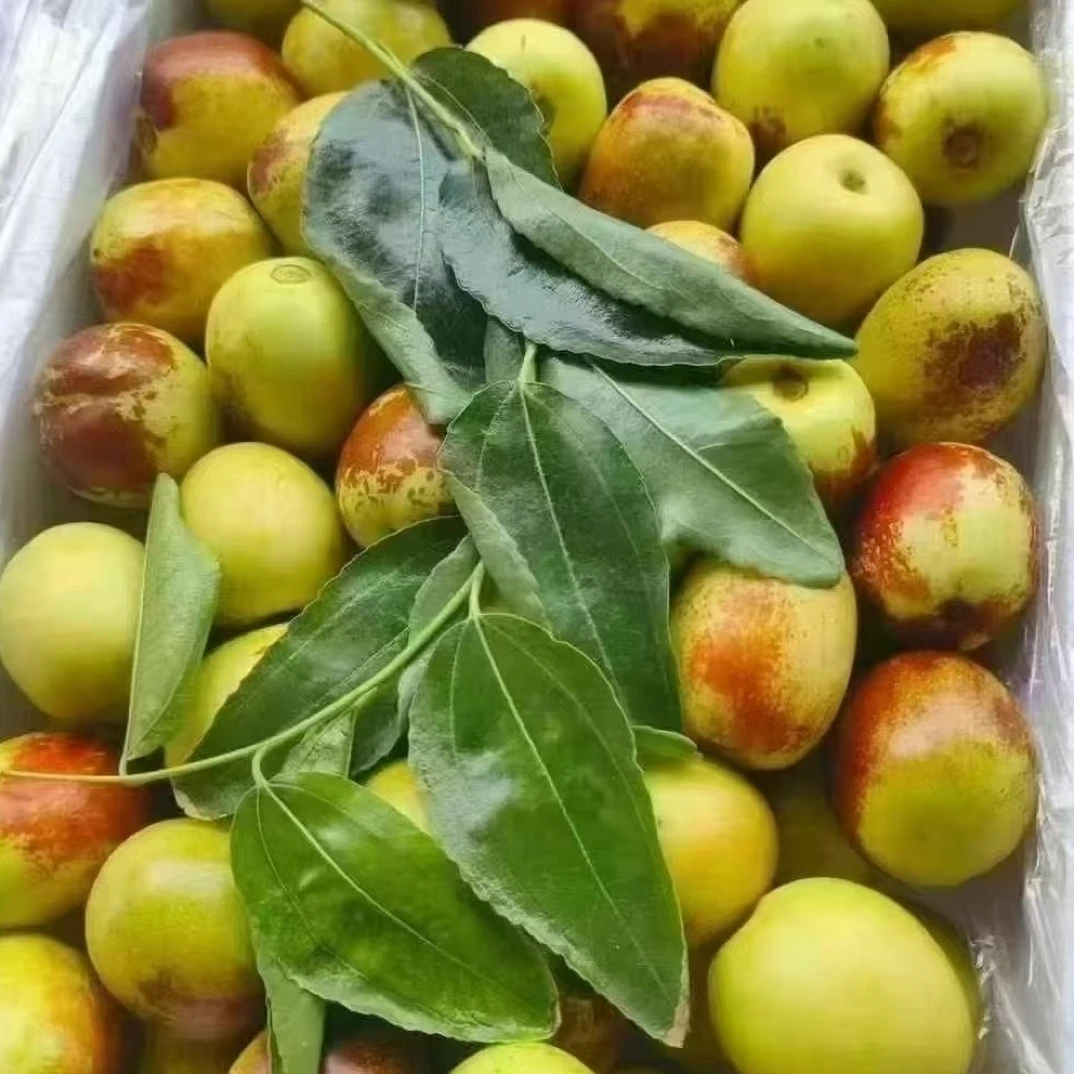 【同城包送】大荔冬枣礼盒3斤装