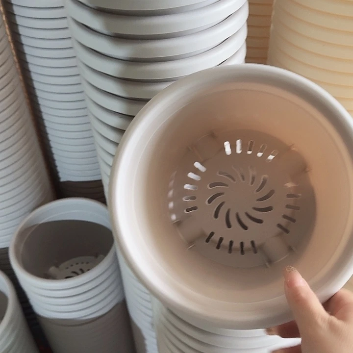 四季3号灰白无托10个特价微瑕