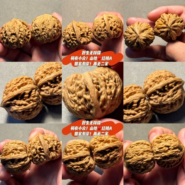 老狼宝藏款 野生无嫁接！全品有修无黄 山地红桃A 蛤蟆头核桃手捻