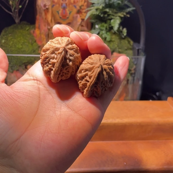 一帆风顺  宫灯  全品