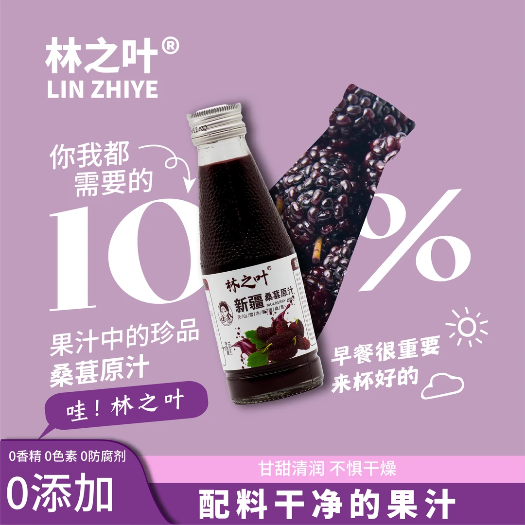 林之叶【新疆工厂直发】新疆桑葚原汁桑葚汁高端新年礼盒