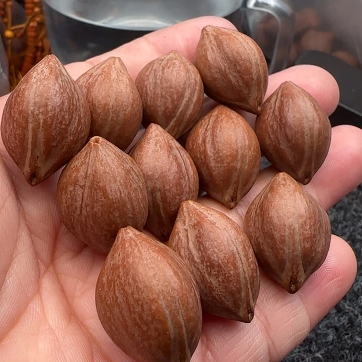 橄榄核手串橄榄核原皮铁盒三面佛