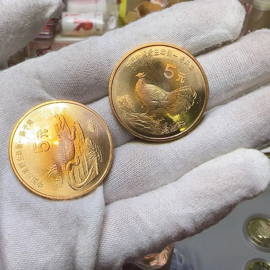 鸡鳄多肉国福利出特价