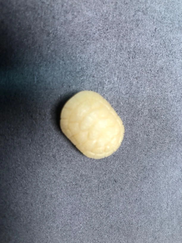 个性订制 创意手作摆件