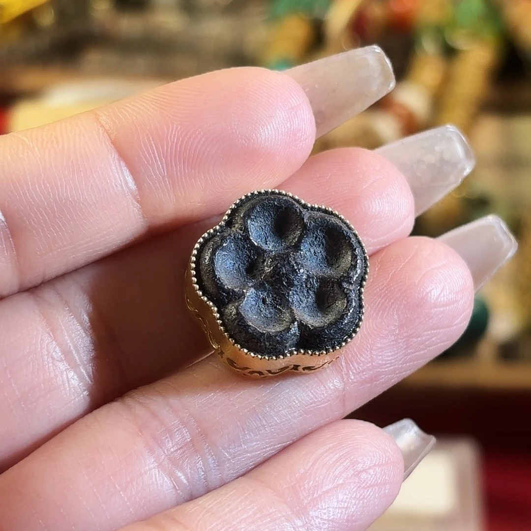 好好好好好好好好好好看