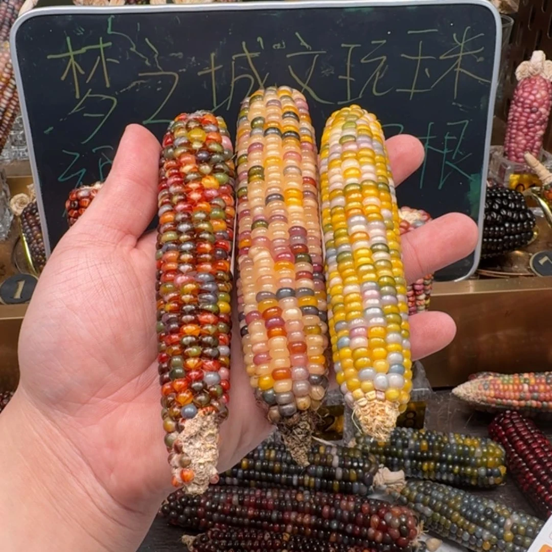 柏香籽/百香籽吊坠临**梦