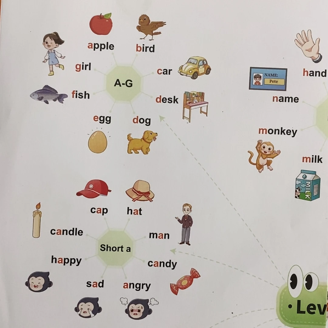 【闪购商品】猿辅导小学必背词