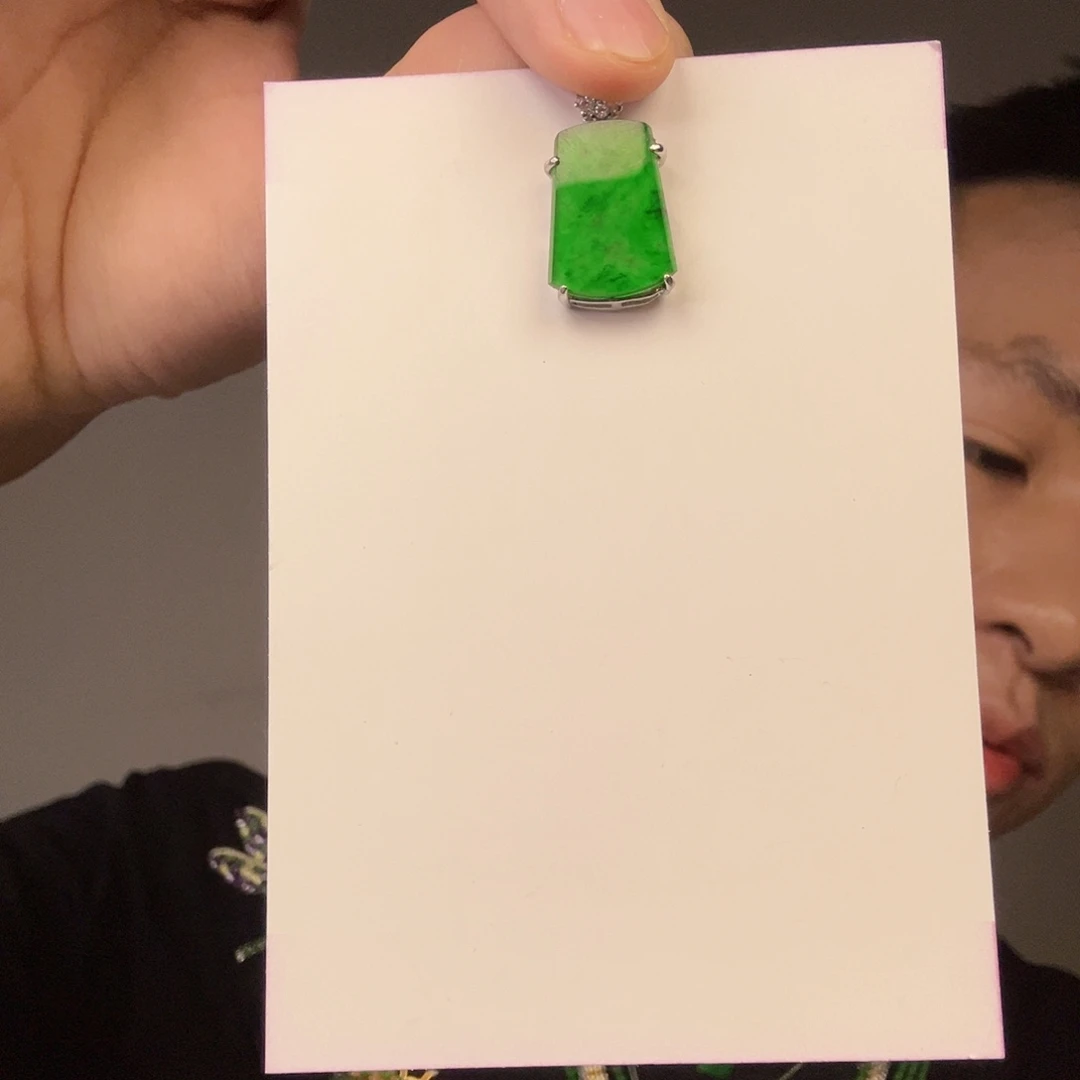 颈饰未镶嵌翡翠一件