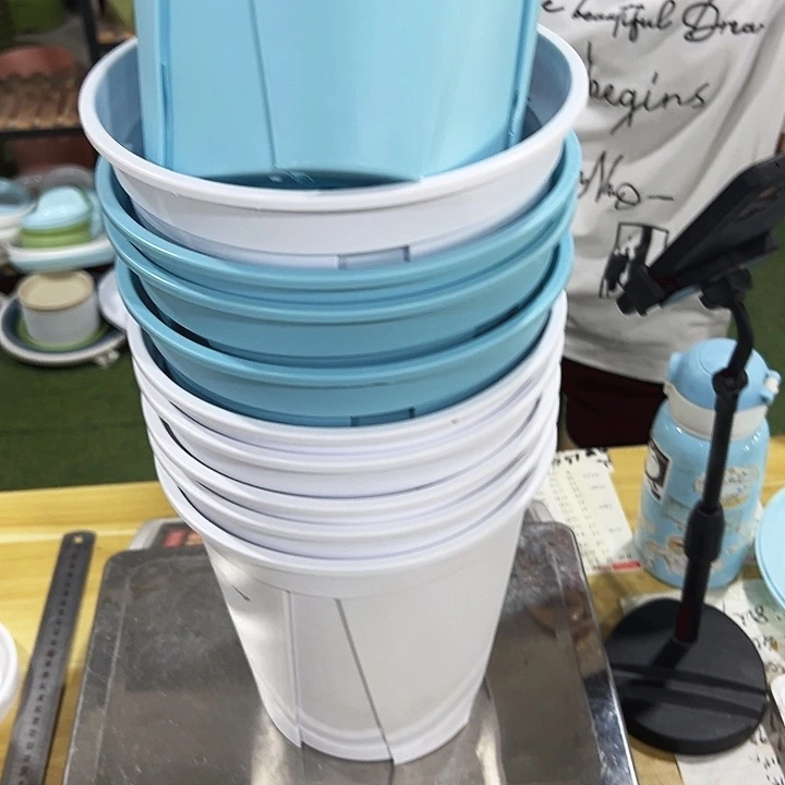 特价青山口21高21混色无托10只