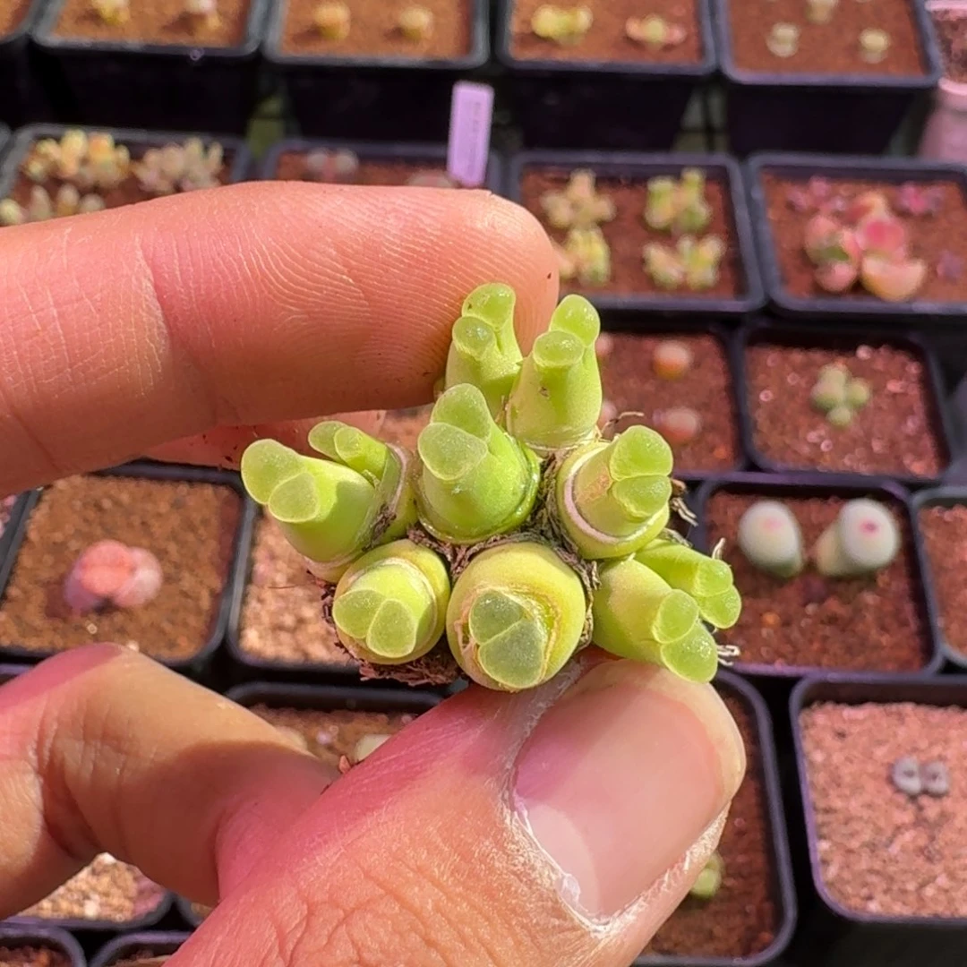 回*精品大甩卖9.12