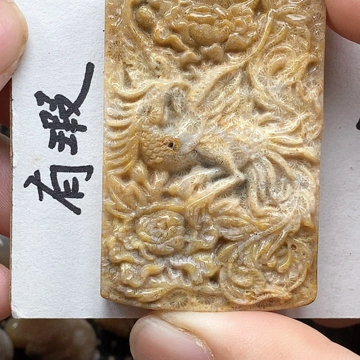颈饰未镶嵌硅化珊瑚（珊瑚玉）