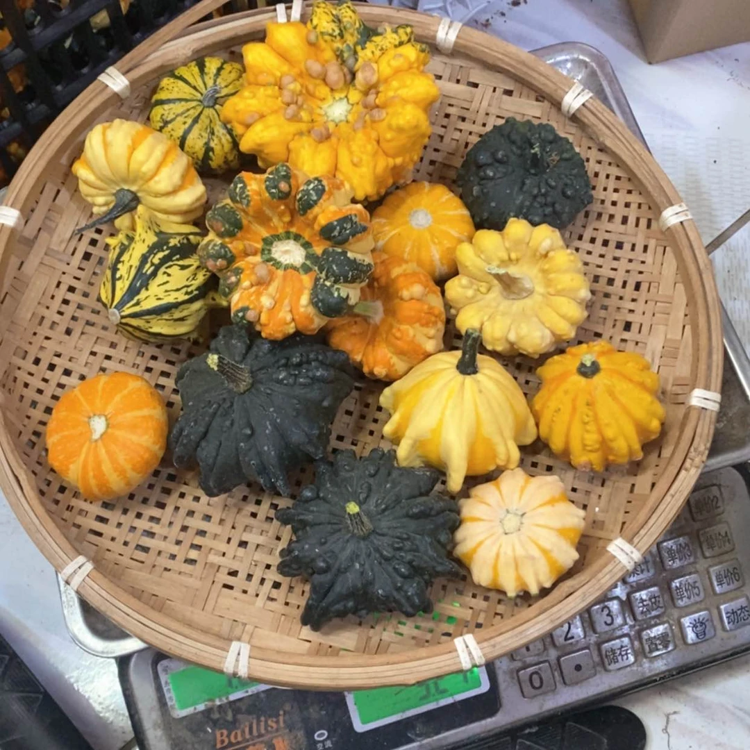 【闪购商品】?**眉15个墨西哥直播一拍