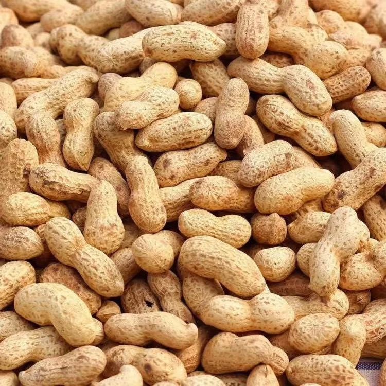 【刘支书推荐】农村自种泥巴花生