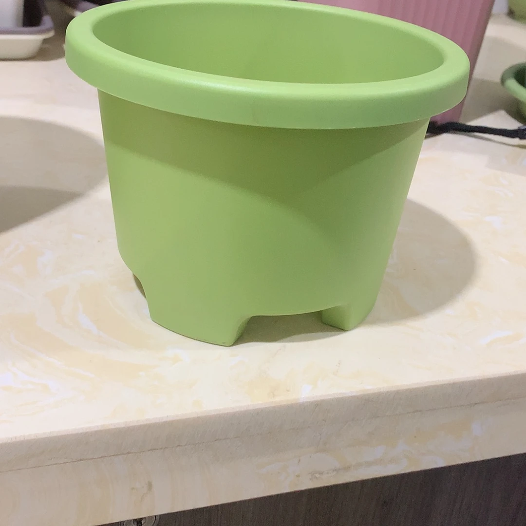 球根口17果绿5个无托