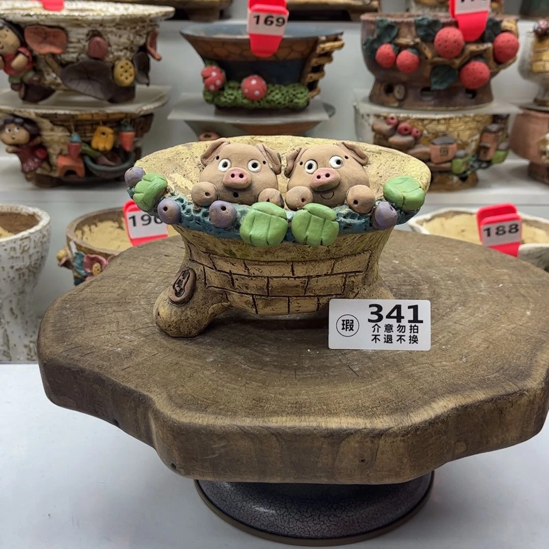 安*花盆341瑕疵安妮