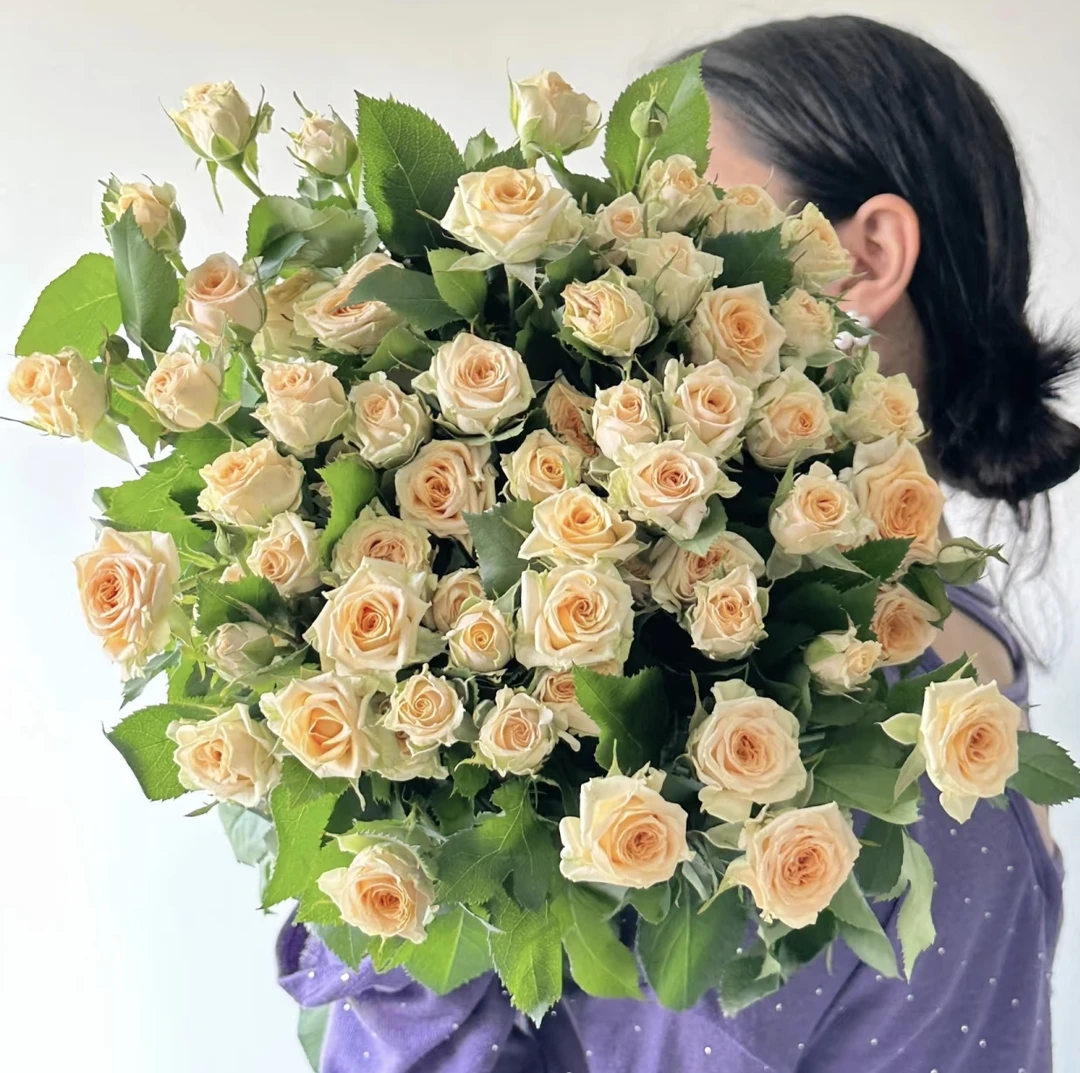 三岁花集--基地多头玫瑰洛可可（一单中通二单顺丰包邮）