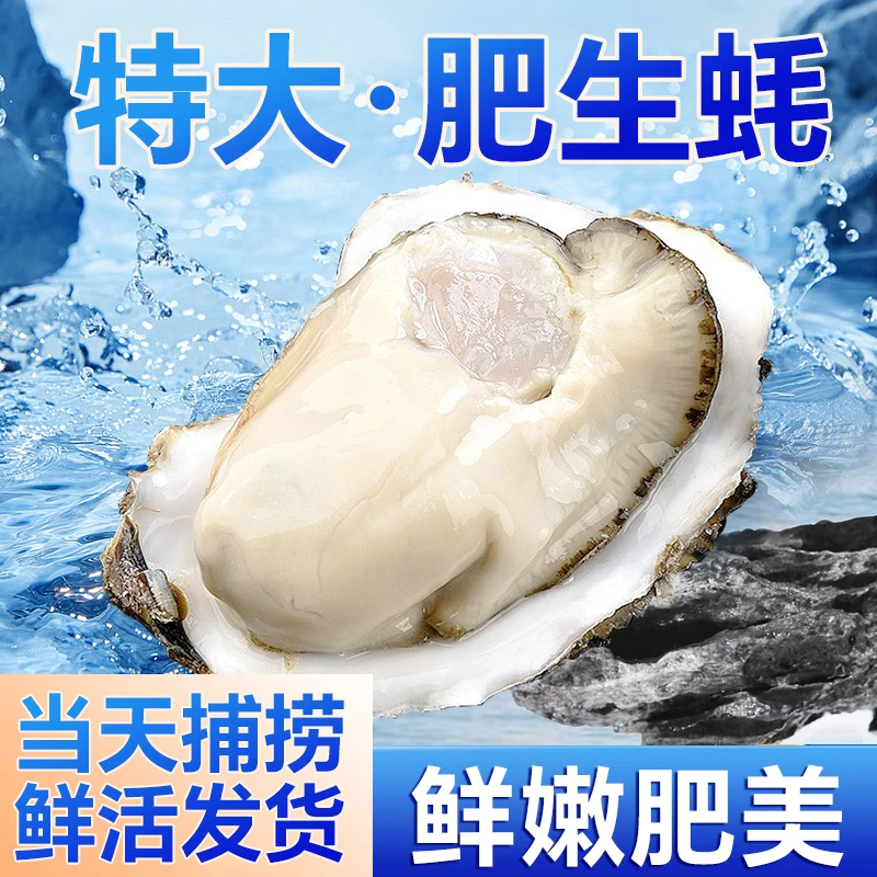 生蚝新鲜牡蛎5-8两/只含箱10斤净重8斤装产地直发配送海鲜