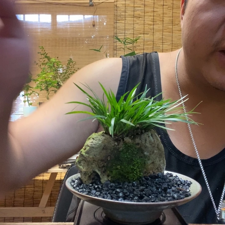 朦*一物一拍所见即所得174