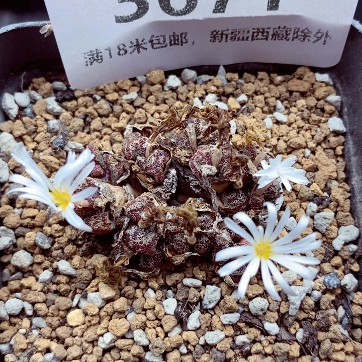 3671。