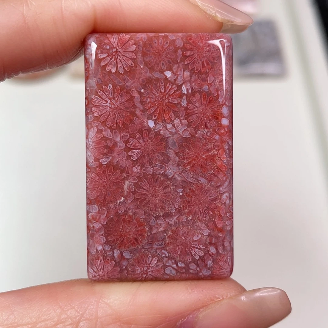 【闪购商品】未镶嵌吊坠(赠链)硅化玉
