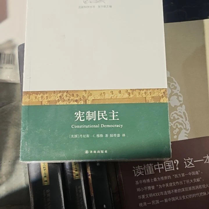 宪制民主平装库存书