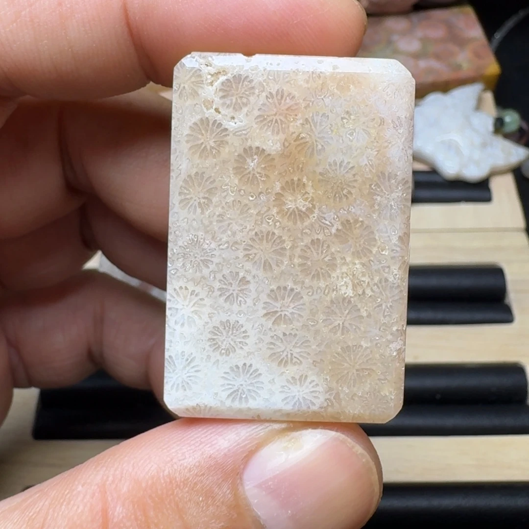 未镶嵌纯天然色有机玉石保真色硅化玉