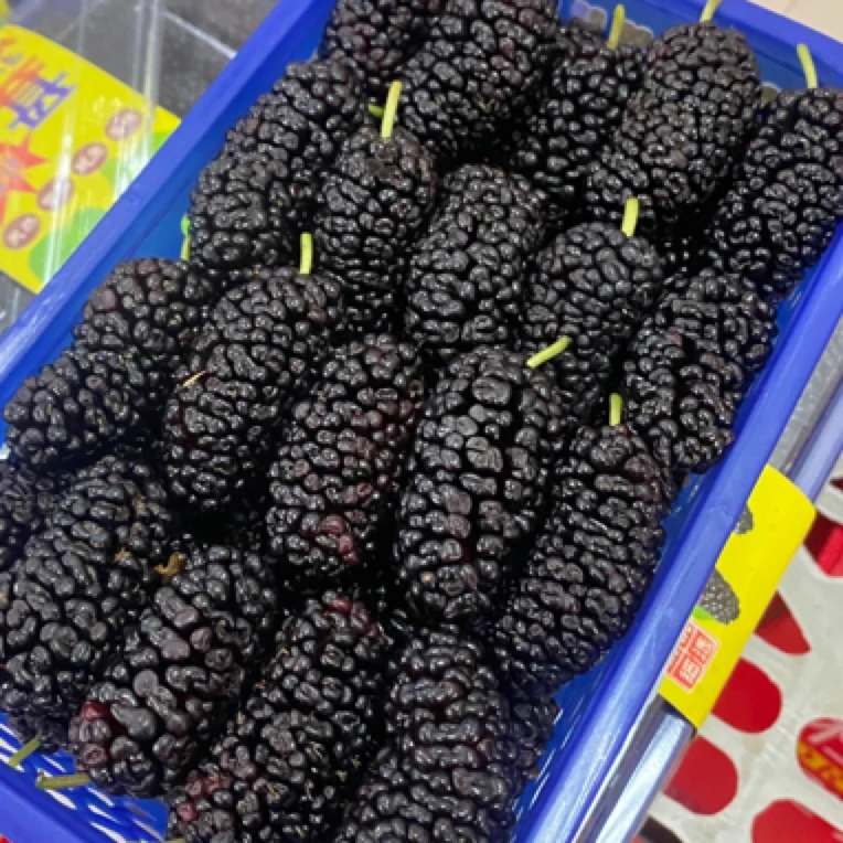 【小时达】桑葚1筐