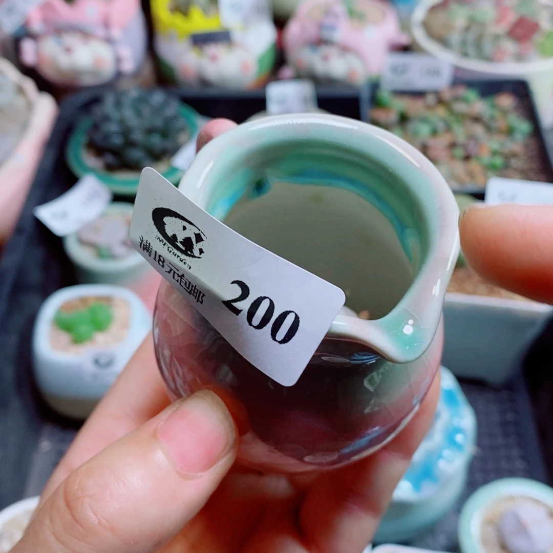 P****生石花花花花花花花花200