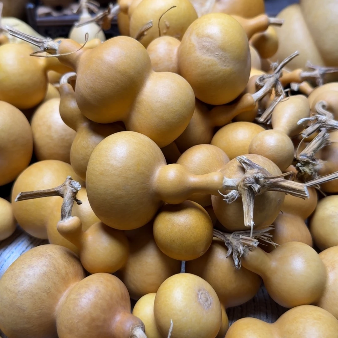 什***吧八宝通货一组嘎嘎漂亮