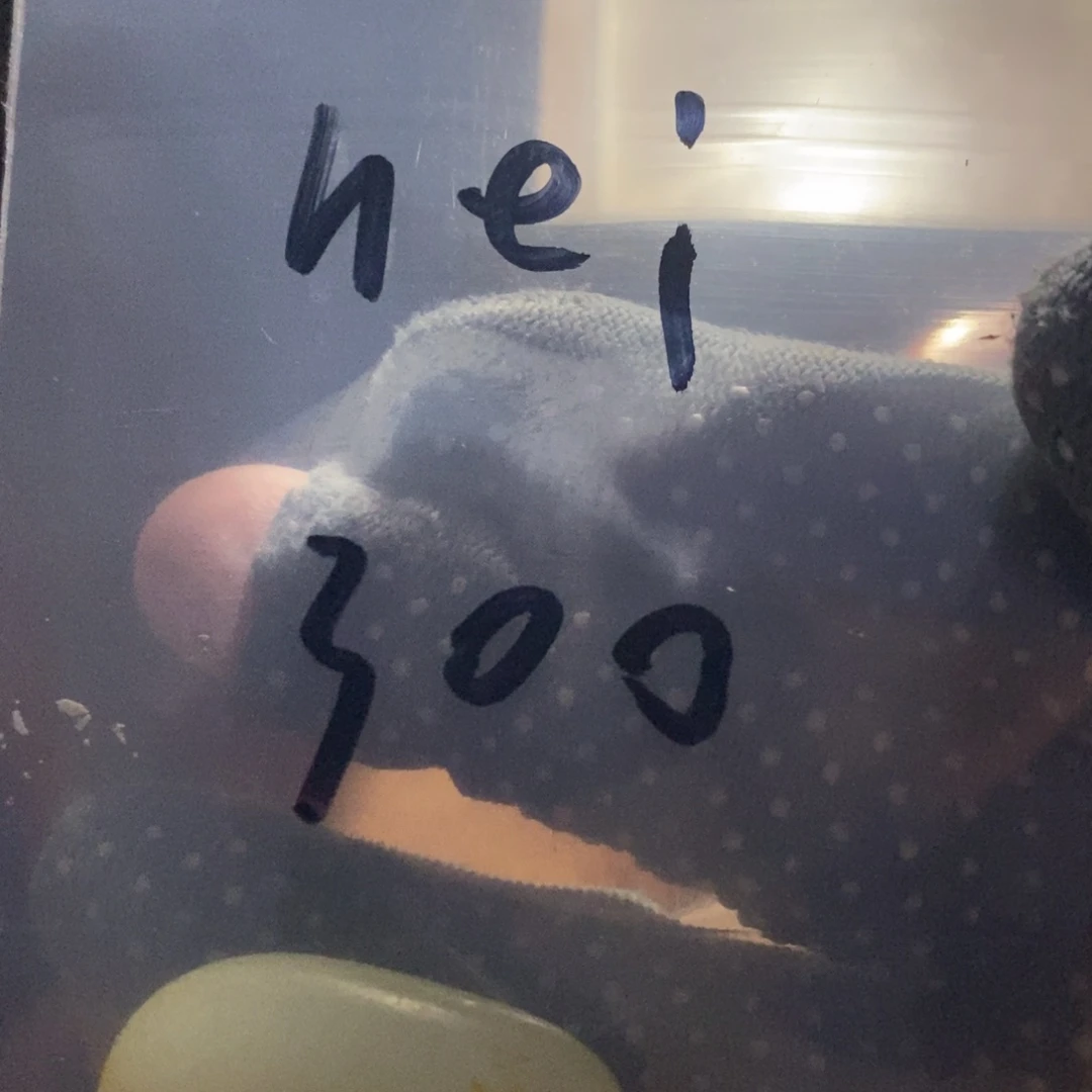 h****e和田玉精品精品料