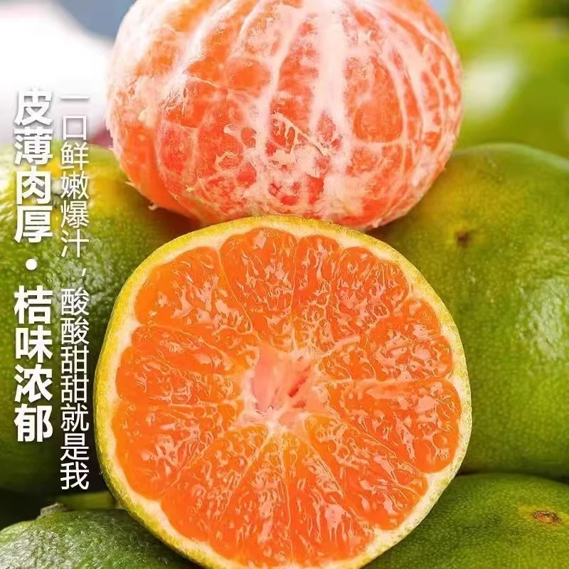 云南青皮无籽蜜桔新鲜现摘应季水果酸甜多汁适合孕妇