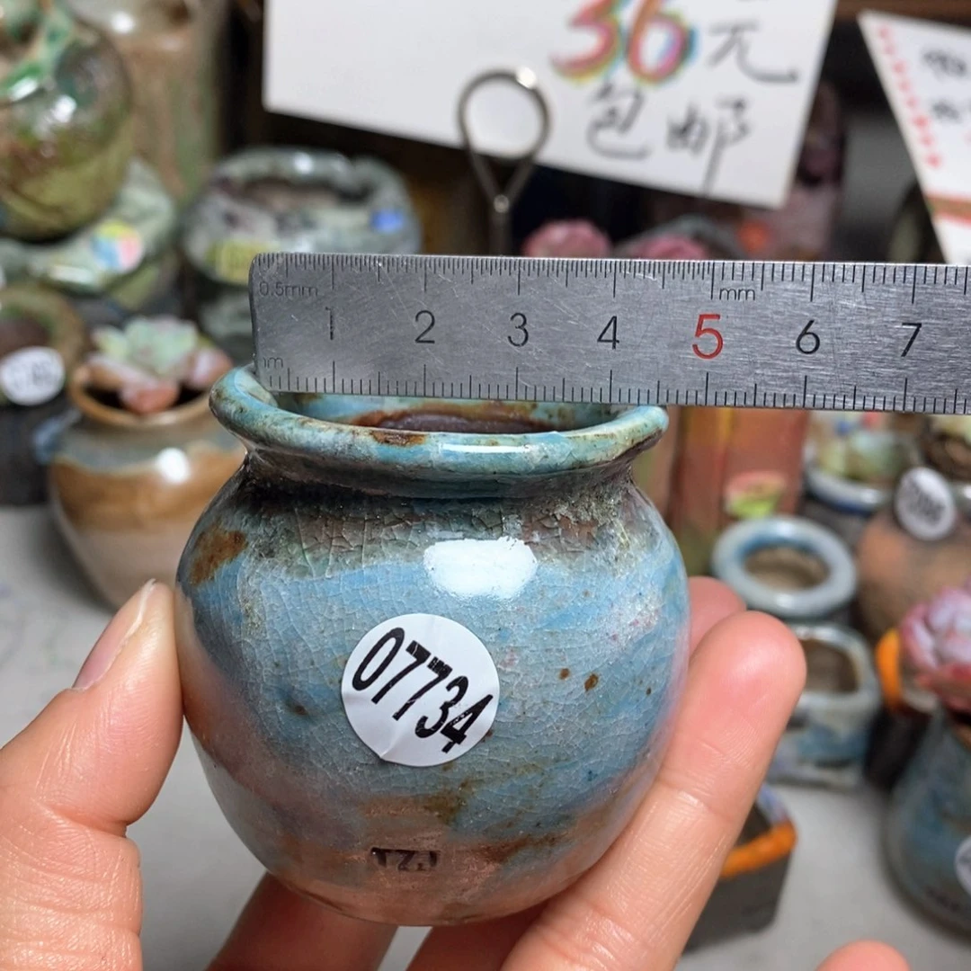 花盆拍5送一个小礼物