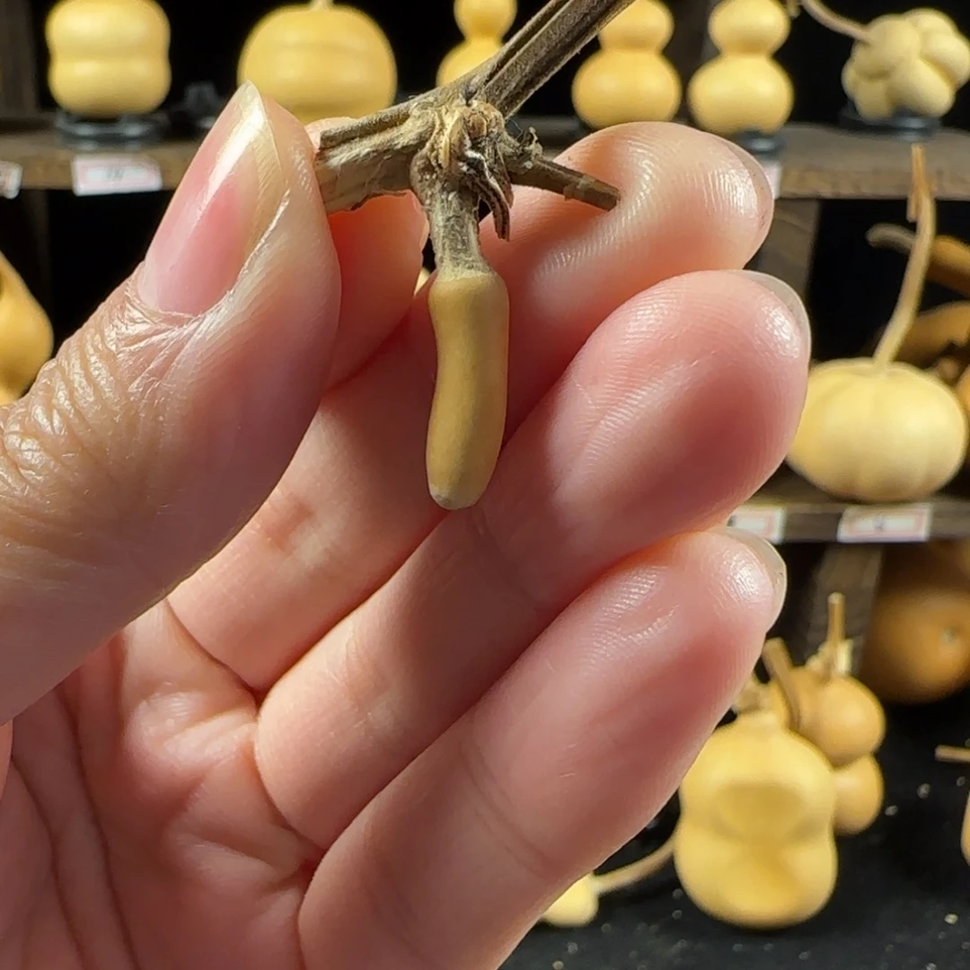 新***七葫芦葫芦葫芦葫芦葫芦