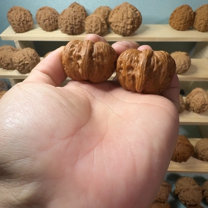 文玩核桃吊坠微修元宝