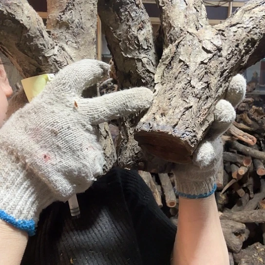 香榧木用****3火琉璃的故事毛料