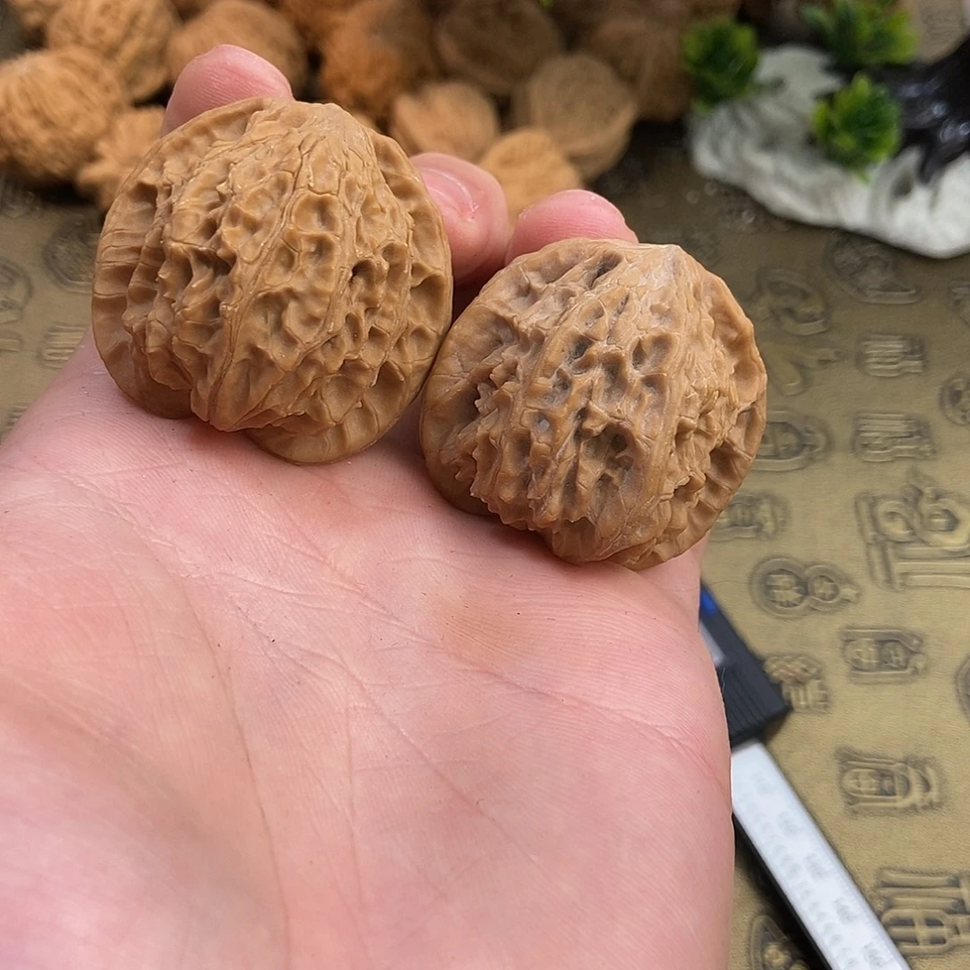 核桃盘龙纹37+38尺寸编号875（福利价）