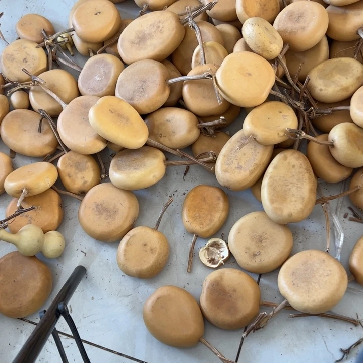 甭***甭葫芦文玩摆件制品